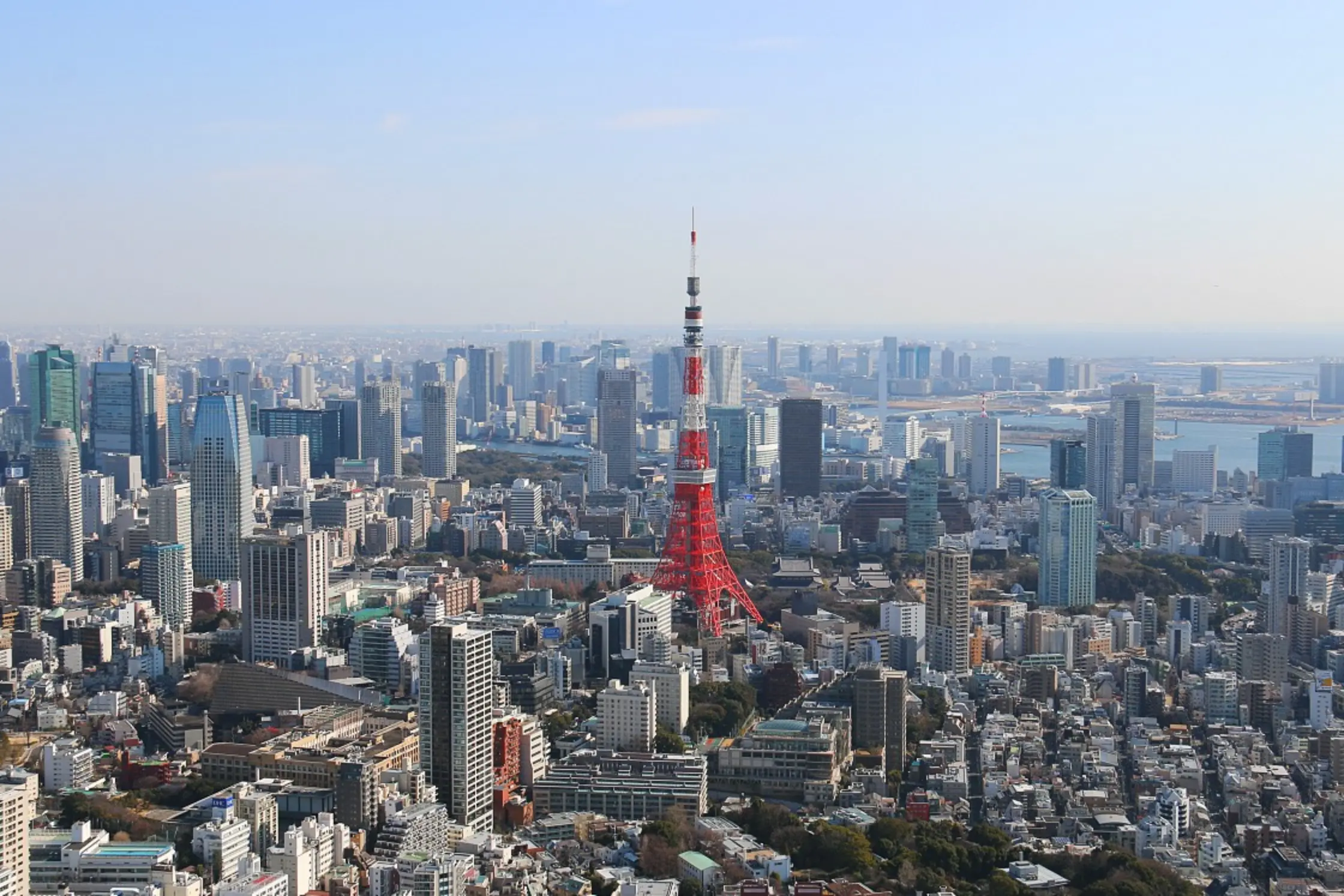 Starting the day with a view