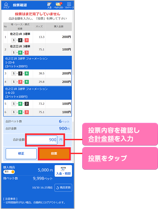 投票内容を確認し合計金額を入力