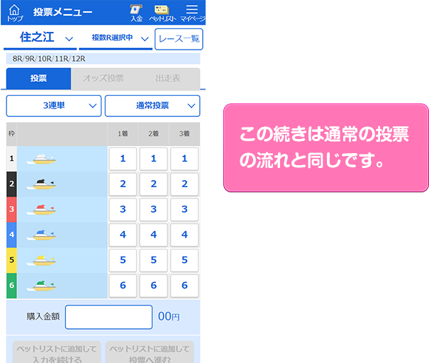 この続きは通常の投票の流れと同じです。