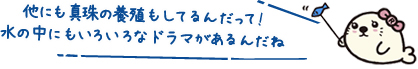 他にも真珠の養殖もしてるんだって！水の中にもいろいろなドラマがあるんだね