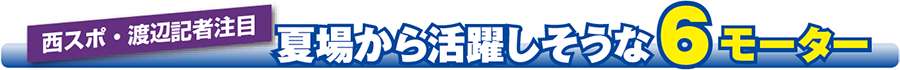 夏場から活躍しそうな6モーター