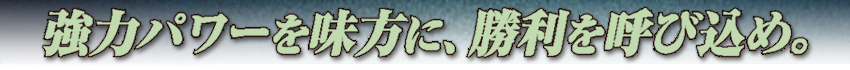 強力パワーを味方に、勝利を呼び込め。